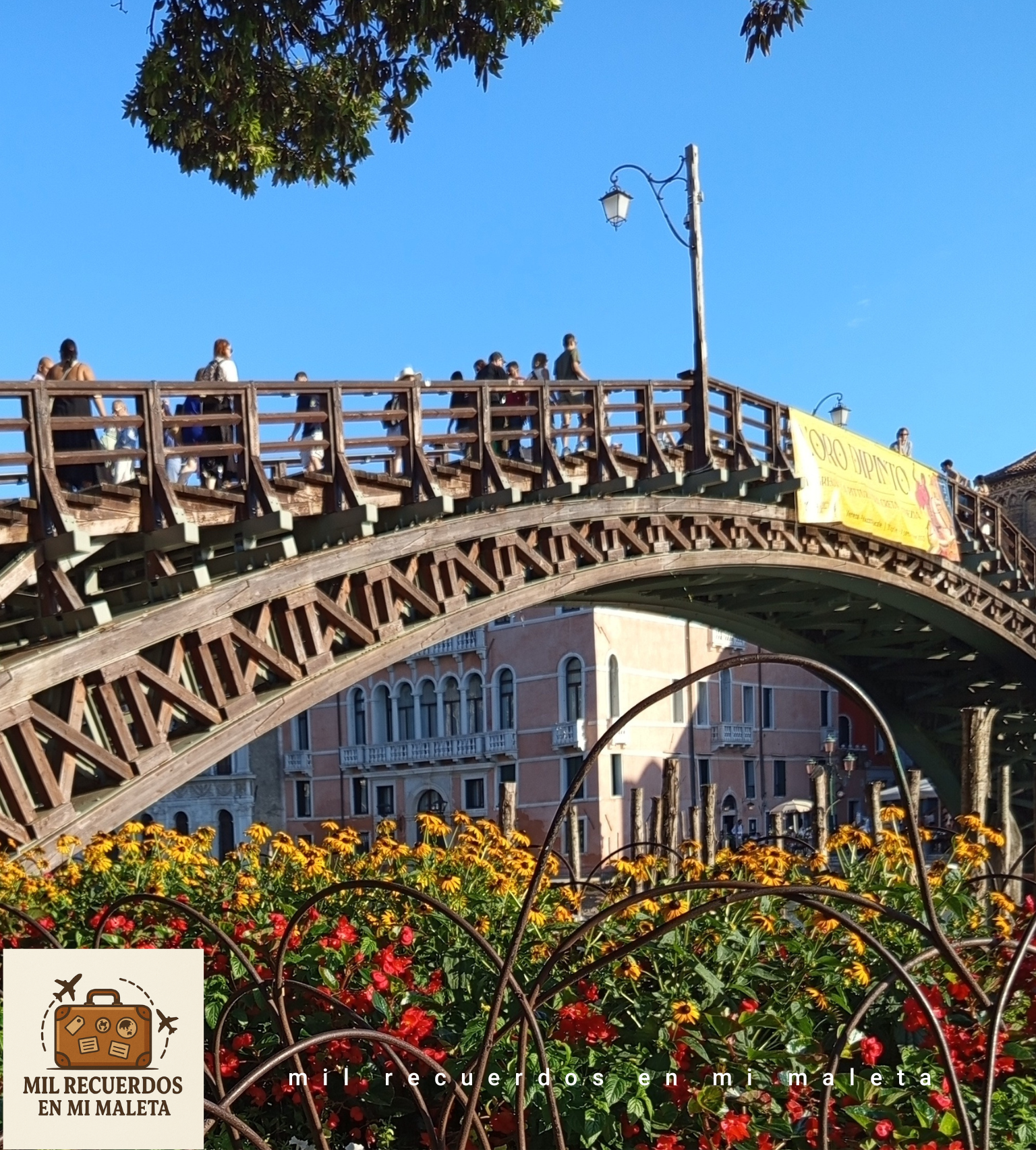 Puente de la academia, venecia