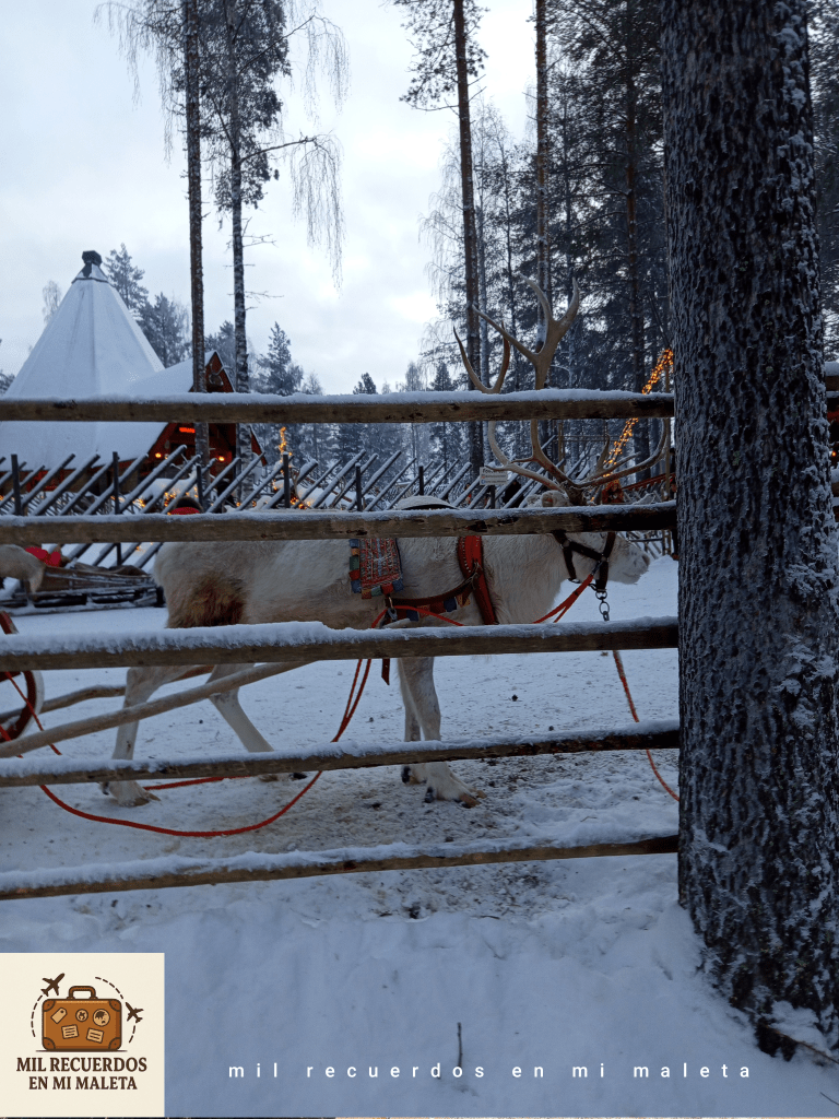 reno en Santa Claus Village, Rovaniemi, Finalndia