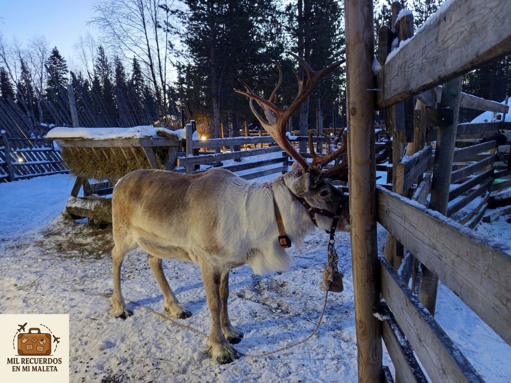 Elves Village Tonttula