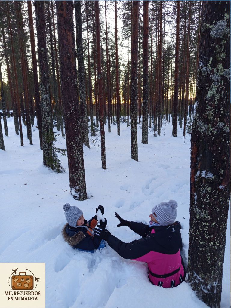 Bosques en Finlandia