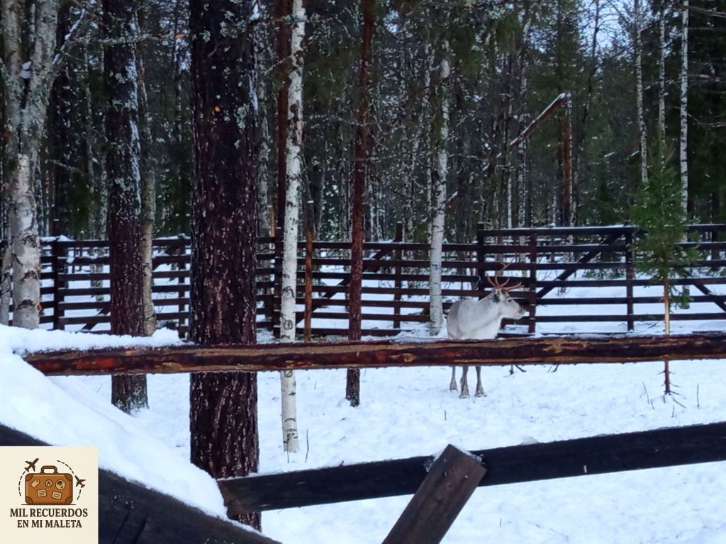 SnowVillage, Finlandia