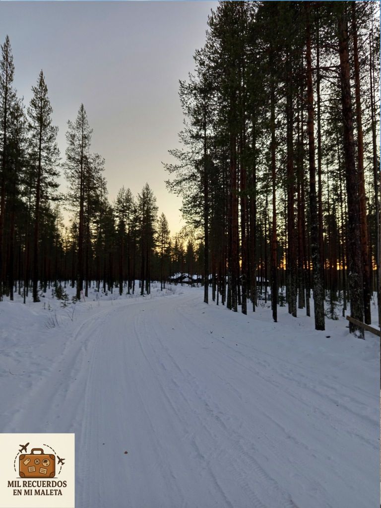 Bosques en Finlandia