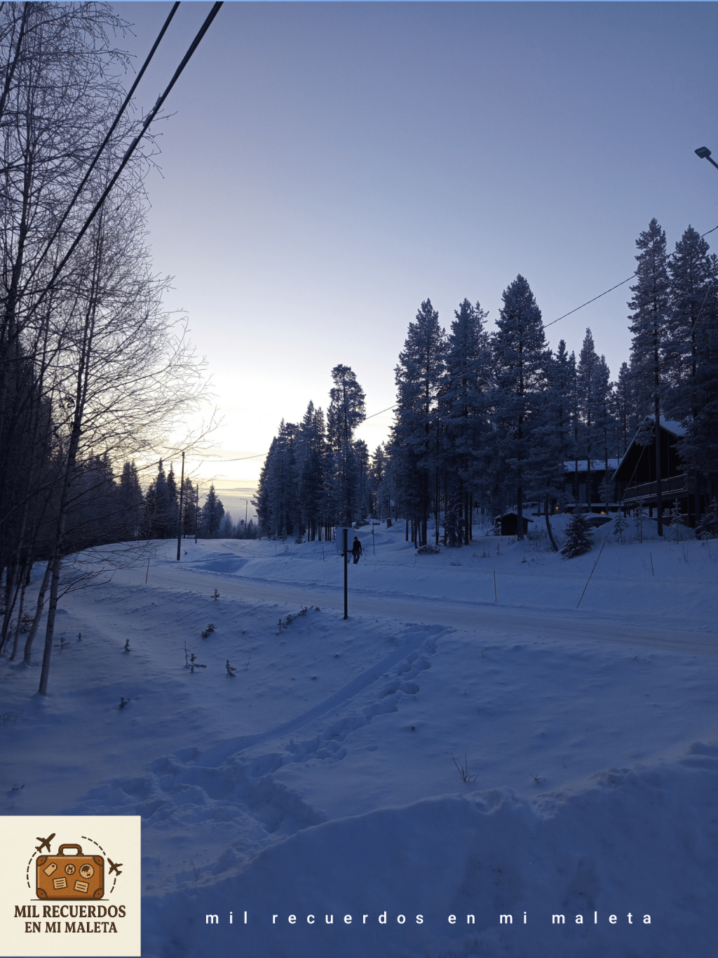 Día 3 en Laponia: Parque Nacional de Pyhä-Luosto y el encanto de&nbsp;Levi